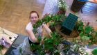 Florist-Mittelstufe präsentiert Tisch- und Raumschmuck bei Hedera &amp; Bux